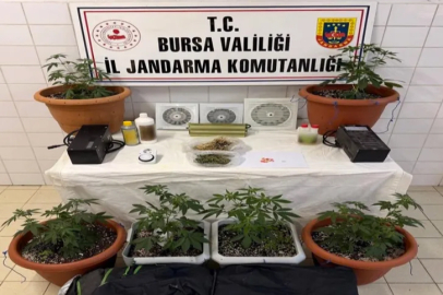 Bursa Nilüfer'de jandarmadan uyuşturucu operasyonu