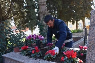 Gemlik’te şehitliklere titiz bakım
