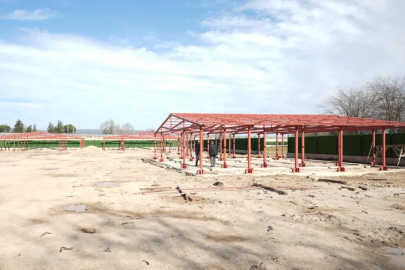 Yenişehir'de 'Hayvan Bakımevi ve Doğal Yaşam Alanı' gün sayıyor