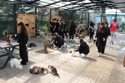 Yıldırım’da gençlerden patili dostlara sevgi ziyareti