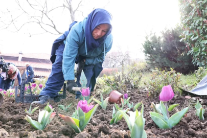 Osmangazi’nin her bir noktası çiçek açtı
