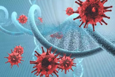 KARACİĞERİ TEHDİT EDEN 6 ÖNEMLİ ETKEN!