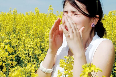 Alerjiler kalp sağlığını etkileyebilir