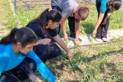 Nilüferli öğrenciler kendi bitkilerini yetiştirecek