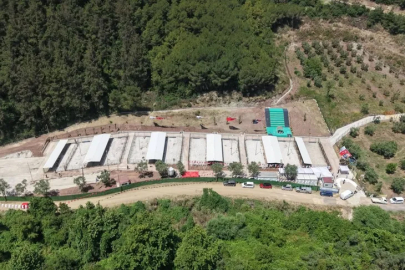 Gemlik’te sahipsiz hayvanlara modern yaşam alanı