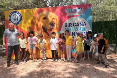 Yıldırım'da sahisiz sokak hayvanları öğrencileri ağırladı
