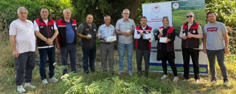 Bursa'da 5 bin Samuray Arısı doğaya salındı
