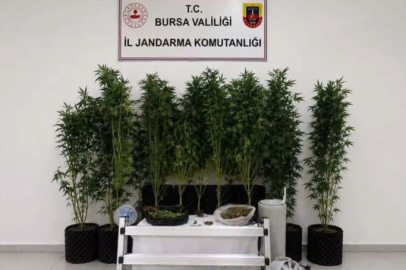 20 ilde uyuşturucuya 41 gözaltı!