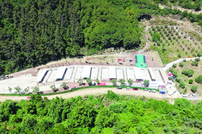 Gemlik’te barınak ziyaretçilere hep açık